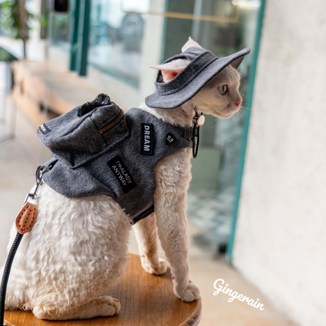 Handmade Luxury Travel Cat Car - Luxury Bags Cute 评论和价格