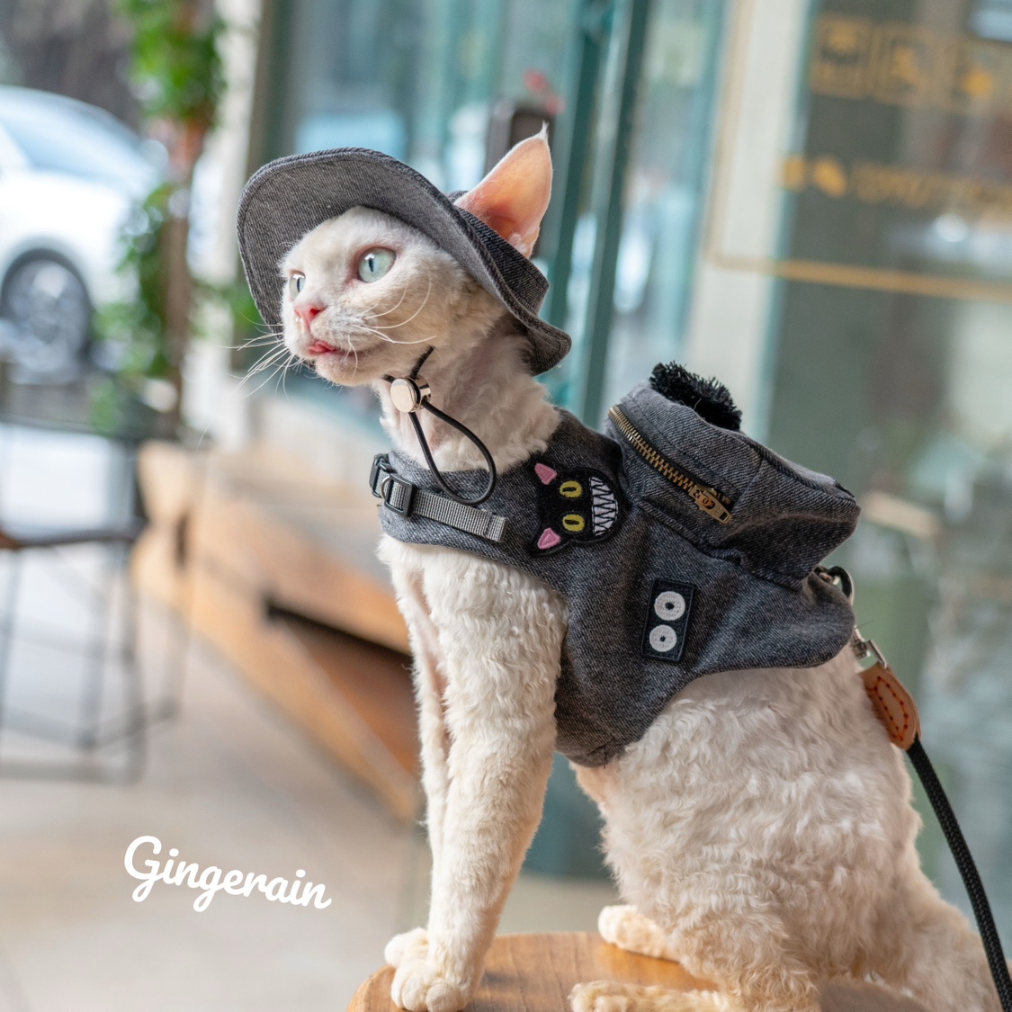 Handmade Luxury Travel Cat Car - Luxury Bags Cute 评论和价格